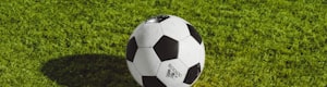 国际田径联合会合作伙伴标志